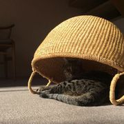 リスタートというコトで イメージ